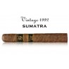 Trabuc Rocky Patel Vintage 1992 Robusto 1