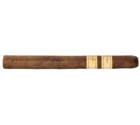 Trabuc Rocky Patel Decade Lonsdale (1)