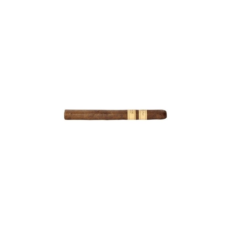 Trabuc Rocky Patel Decade Lonsdale (1)
