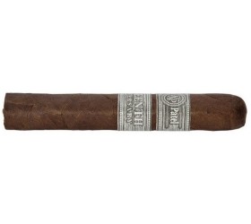 Trabuc Rocky Patel 15 Th Anniversary Robusto (1)