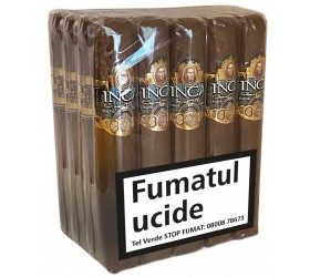 Trabucuri Inca Secret Blend Roca Robusto (20)