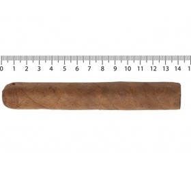 Trabucuri Kautz Corojo Robusto 16