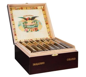 Trabucuri Ashton Paradiso Coloso 21