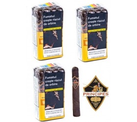 Trabucuri La Aurora Principe LF Maduro Petit Corona 36
