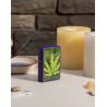 Bricheta 49790 Zippo Cannabis Design Logo