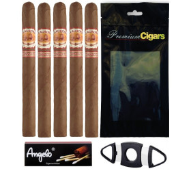 Trabucuri La Aurora 1987 Connecticut Churchill Go Smoke 5