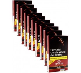 Tigari de Foi Djarum Wood Tips Ruby (50)