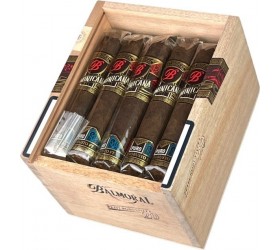 Trabucuri Balmoral Puro Dominicana Petit Robusto (20)