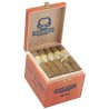 Trabucuri Insidious by Asylum Short Corona 44x4 Honduras 25