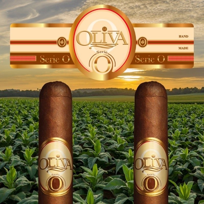 Trabucuri Oliva Serie O Robusto 20