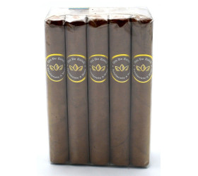 Trabucuri Oro De Esteli Connecticut Bundle Petit Corona (10)