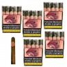 Trabucuri Oro De Esteli Habano Bundle Corona (50)
