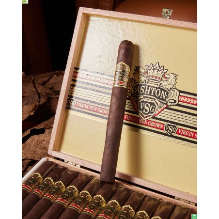 Trabucuri Ashton VSG Sorcerer (24)