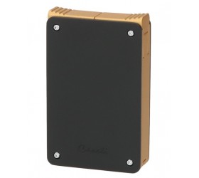 Bricheta Caseti Black Gold Cigar Punch 281124