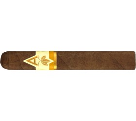 Trabucuri Artista Harvest Sumatra Toro 20