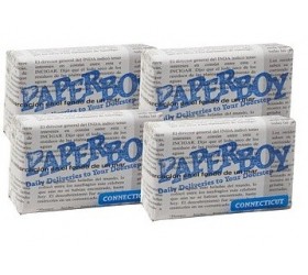 Trabucuri Artista Paperboy Connecticut Petit Corona 32