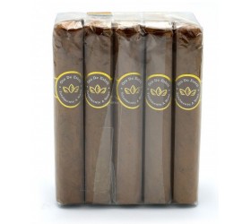 Trabucuri Oro De Esteli Connecticut Bundle BIG Robusto (100)