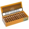 Trabucuri PDR A. Flores El Criollito Rosado Short Gordo 24