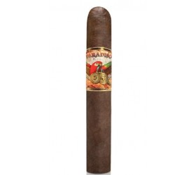 Trabucuri Paradiso Classico Robusto (24)