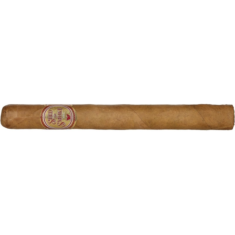 Trabucuri Rocky Patel Seed to Smoke Shade Churchill 10