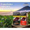 Tigari de foi Djarum Clavo Wood Tip Ruby (Cherry) (5)