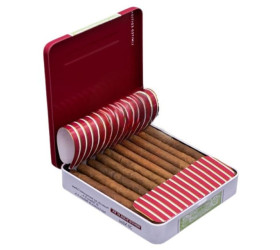 Tigări de foi Romeo Y Julieta Mini TiBox LE 2024 (20)