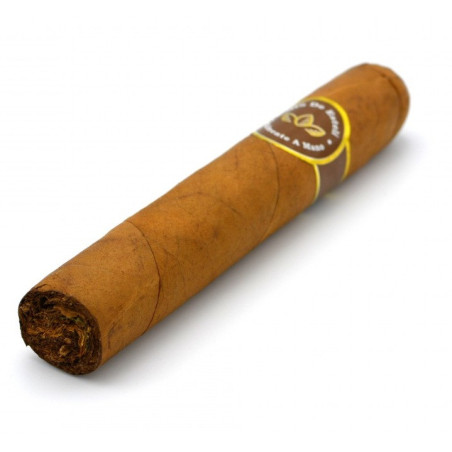 Trabucuri Oro De Esteli Connecticut Bundle Magnum (10)