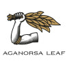 Trabucuri Aganorsa Leaf Guardian of the Farm Cerberus Toro 15