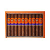 Trabucuri Aganorsa Leaf Supreme Leaf Euro Toro (10)