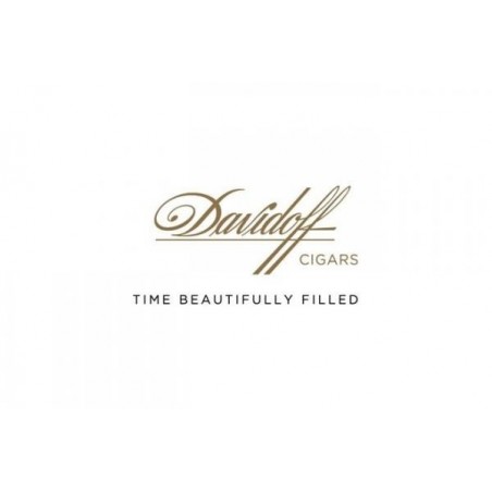 Trabucuri Davidoff Aniversario Special T 4