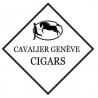 Cavalier Genève